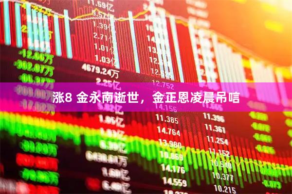 涨8 金永南逝世，金正恩凌晨吊唁