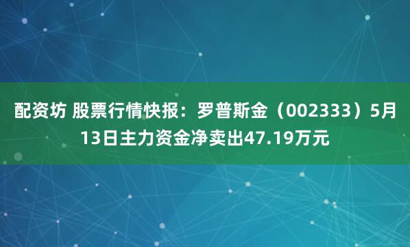 配资坊 股票行情快报：罗普斯金（002333）5月13日主力资金净卖出47.19万元
